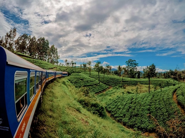 Viaje_en_Tren_Srilanka