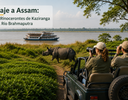 viaje a Assam